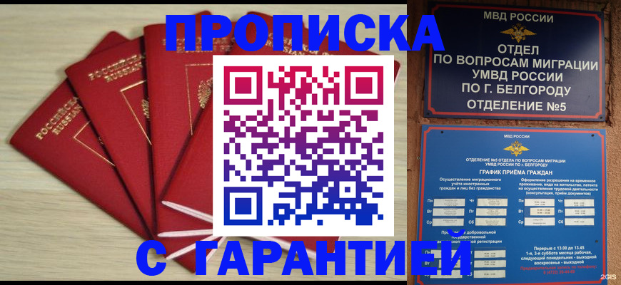 миграционный учет в Светогорске